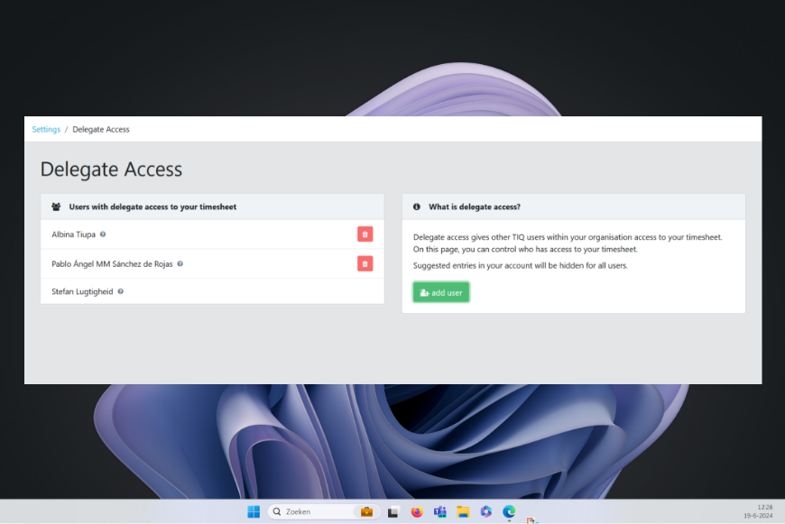 Delegated access menu screenshot